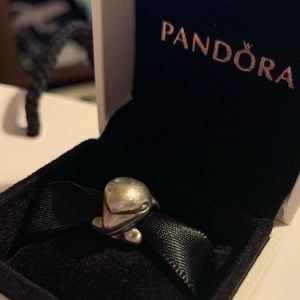 Pandora Dolphin Charm